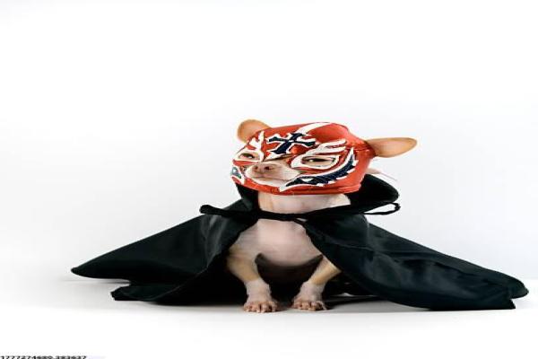 南湖体育培训团购活动报名技巧